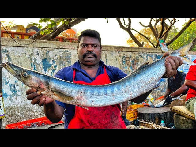 KASIMEDU 🔥 SPEED SELVAM | HUGE BARRACUDA FISH CUTTING VIDEO | 4K VIDEO | KM FISH CUTTING