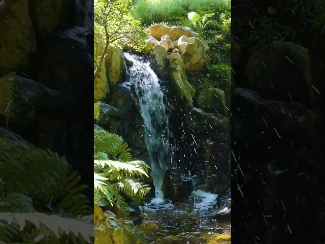 Trailer: Waterfall Relaxation in Japanese Garden #stressrelief #relax