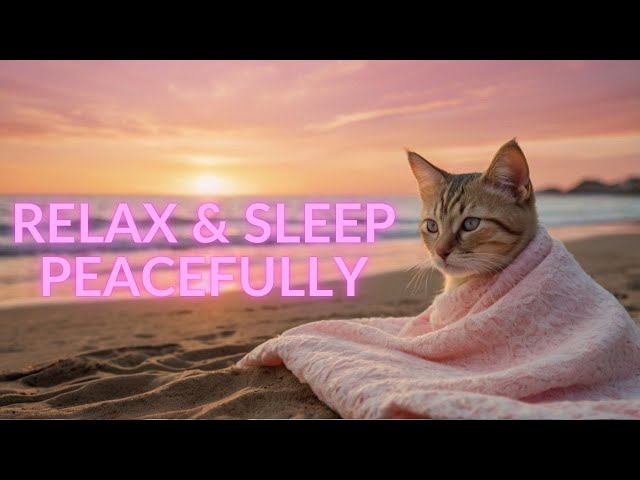 Relaxing Music for Cats 🐾 Soothing Sounds to Help Cats Sleep