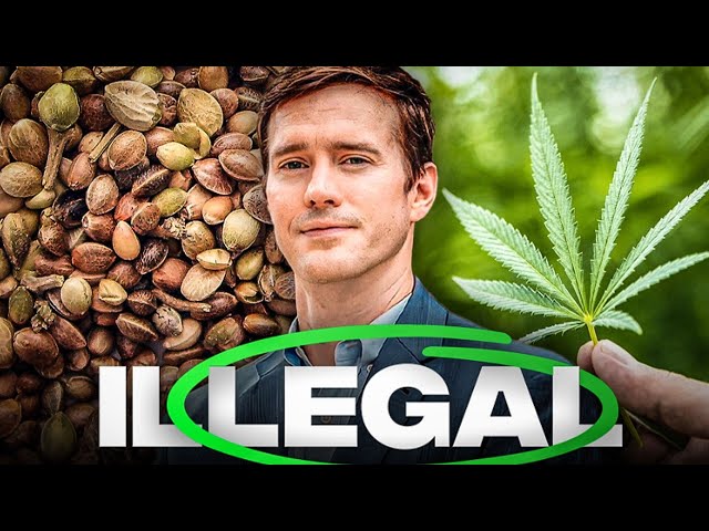 THCa Loophole explained by Cannabis Industry Lawyer | marijuana legalized by 2018 Farm Bill