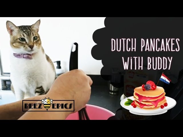 Fluffy Dutch Pancake Recipe: Sweet & Savory Breakfast with My Cat Buddy. 🇳🇱 🥞🇱🇰