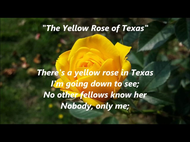 The YELLOW ROSE of TEXAS lyrics words text popular trending country western sing along song