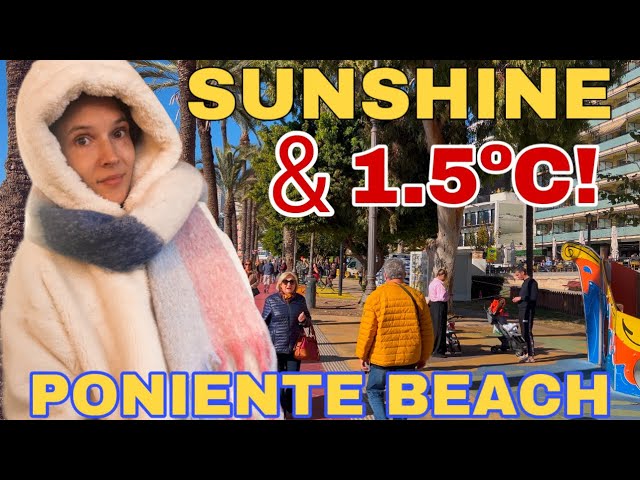 BENIDORM PONIENTE BEACH - ICE COLD MORNING & SUNSHINE 🥶☀️