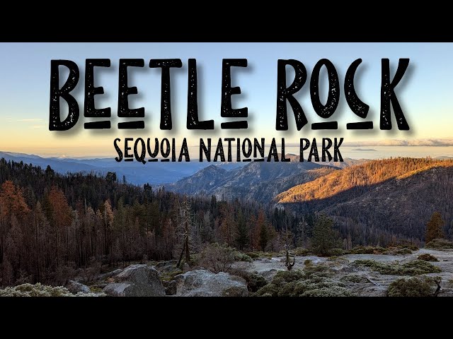 A Journey Through Giants: Beetle Rock