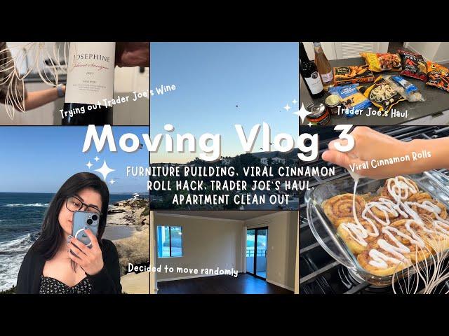 Moving Vlog: Trader Joe's Haul, Apartment Cleanout, Viral Cinnamon Roll Hack, Furniture Building