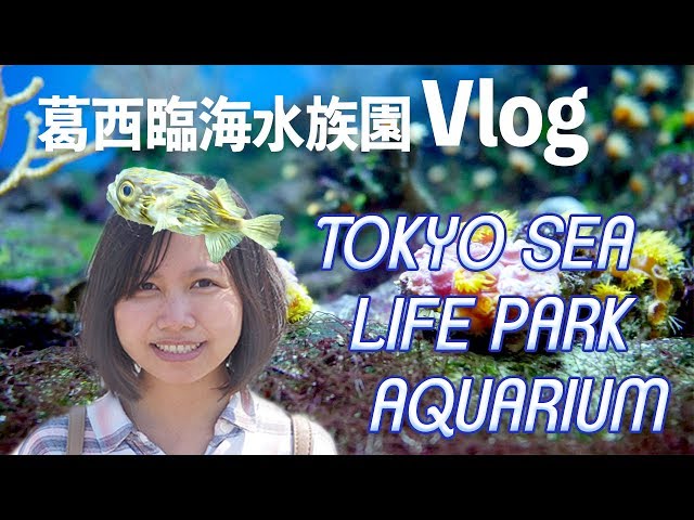 葛西臨海水族園 Tokyo Sea Life Park - Dewi Nikki Vlog