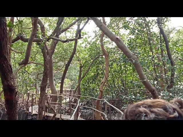 Salim Ali Bird Sanctuary Vlog