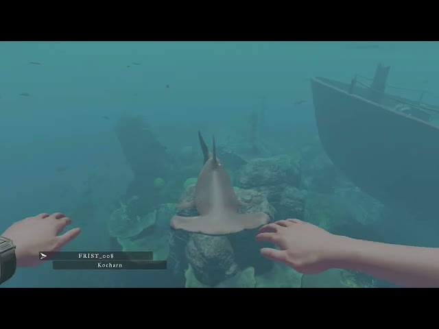 Stranded Deep: Life 2 – 1 (Прохождение PS5) 4k HDR 60fps