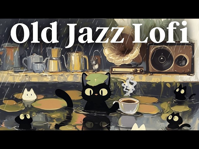 Old Turntable / Cafe Music ☂️ Rainy day with a coffee / Jazz HipHop / BGM / Easy Listening