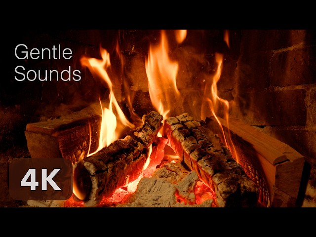 🔥 Warm & Soothing Fire Sounds for Deep Sleep & Relaxation | 3H Real-Time Fireplace