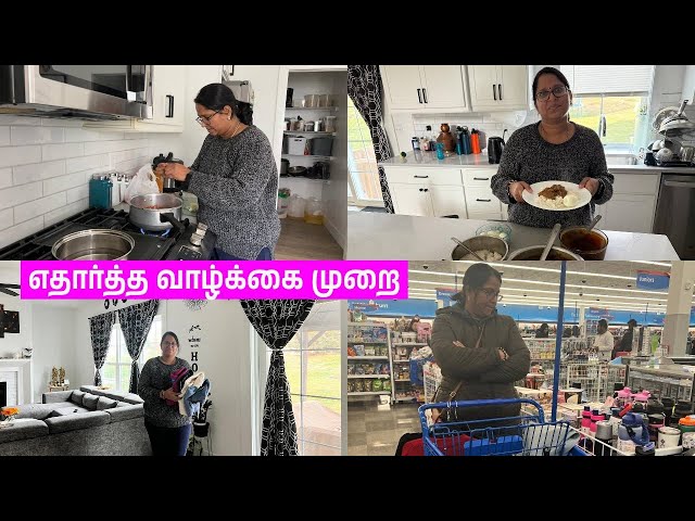 💥தமிழில் - I am not supporting The USA life is best | இது தான் உண்மை நிலை