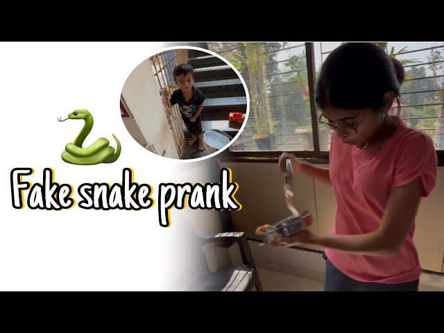 Fake snake prank 🐍 || funny Marathi vlog🤣