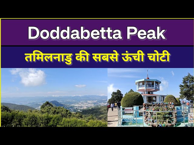 Ooty Tour: Doddanetta Peak | ऊटी का सबसे ऊंचा व्यू पॉइंट | #DoddabettaPeak #Ooty #TravelVlog #travel