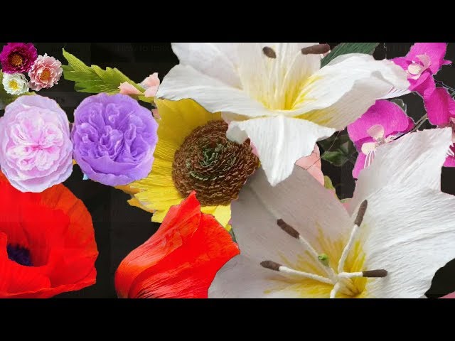 32 PRETTY crepe PAPER FLOWERS | EX1/2