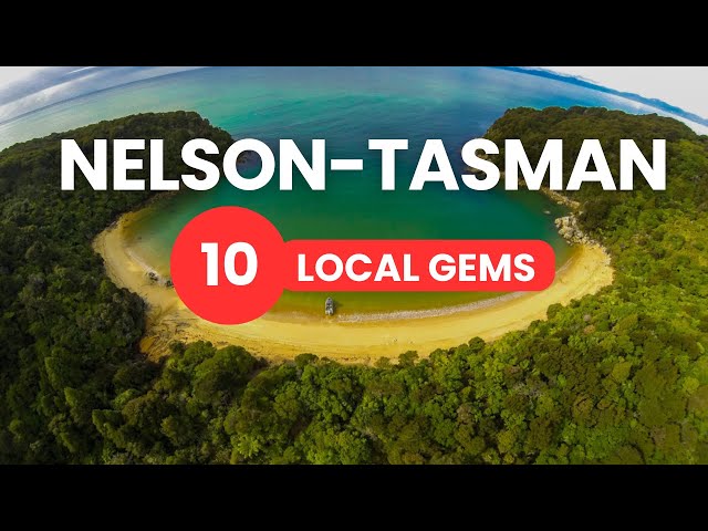 THINGS TO DO in Nelson NZ & Abel Tasman National Park