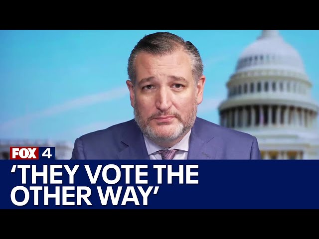 Texas Sen. Ted Cruz: Joe Biden is 'inviting terrorists' to cross the border