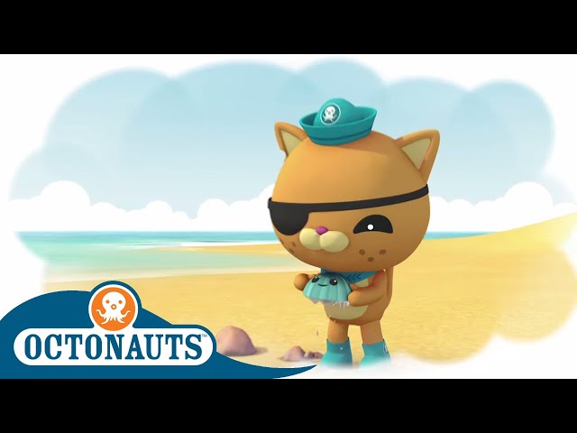 Octonauts - Showing Kindness to Others | Cartoons for Kids | Underwater Sea Education