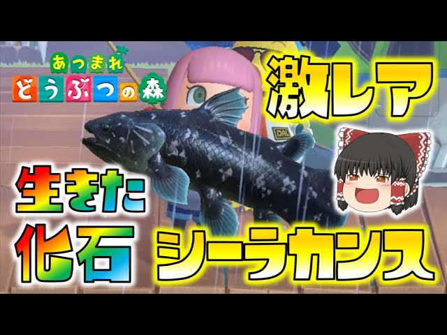 【あつ森】伝説の激レア魚！生きた化石シーラカンスを初ゲット！ゆっくり達のあつまれどうぶつの森 part10