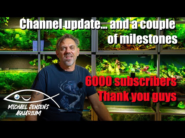 6000 subscribers - channel update