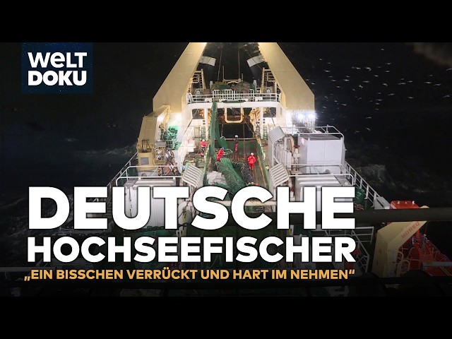 DEUTSCHE HOCHSEEFISCHER: Knochenjob am Limit! Extremfischerei vor Grönland | WELT HD DOKU (reupload)