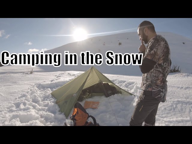 Winter Camping - Tarp, bivy and dog