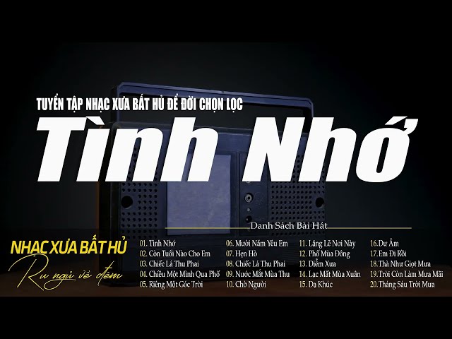 Tình Nhớ - Giai Điệu Nhẹ Nhàng Chất Chứa Đầy Tâm Trạng |Tuyển Tập Nhạc Xưa Lãng Mạn Hay Nhất