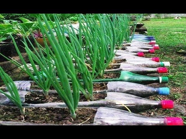 DIY Old Plastic Bottles Ideas