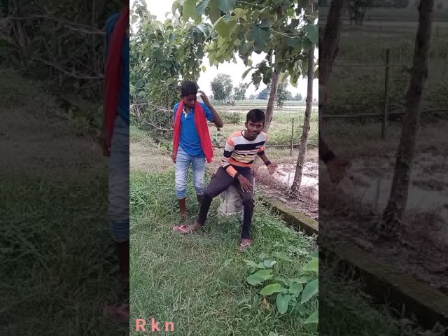 R k n Mast video funny Dhamaka Bhojpuri funny