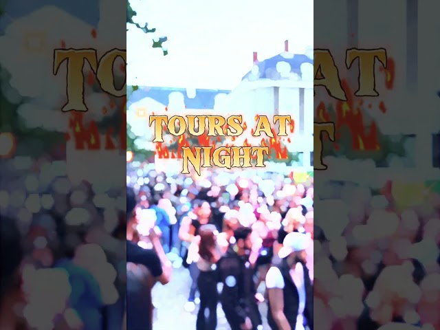 ✨ Tours by Night | City Lights & Festivities 🎸🌆 | ETM Pole