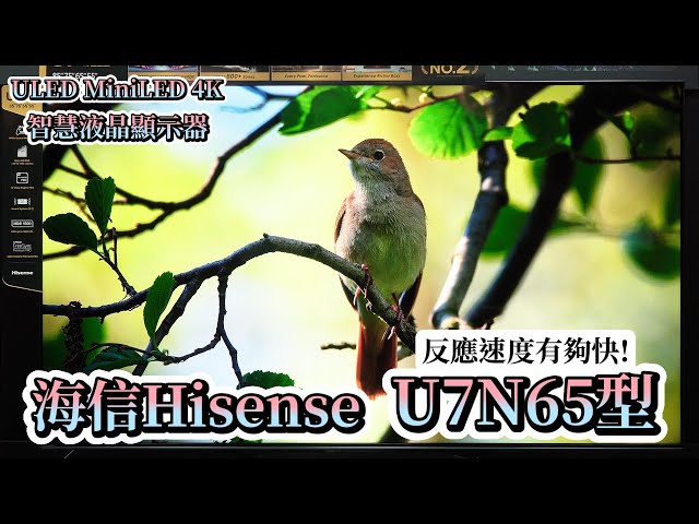 內建iPhone&Android投影! 海信Hisense 液晶顯示器 ULED MiniLED 4K | 黑神話悟空調校原生144Hz Game Mode、VIDAA 操作平台AI助理【束褲開箱】