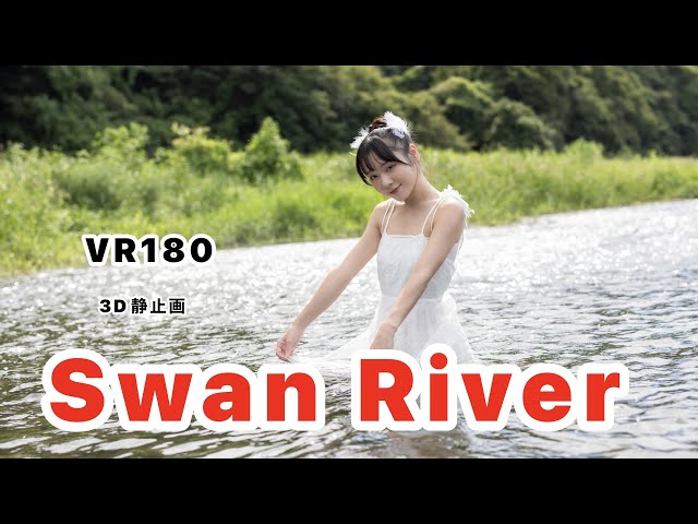 Swan River （VR180)