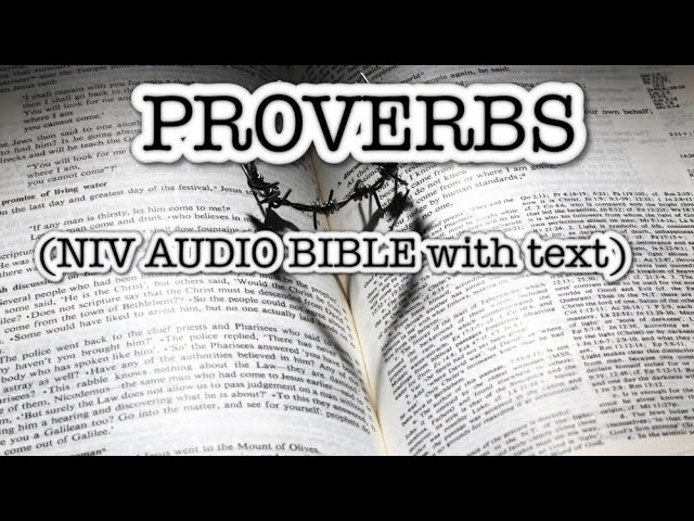 PROVERBS(NIV AUDIO BIBLE with text)