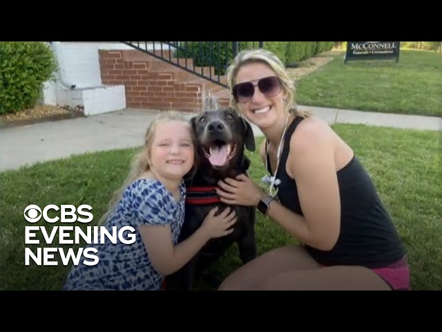 Jogger with dog offers comfort to grieving child during father's funeral