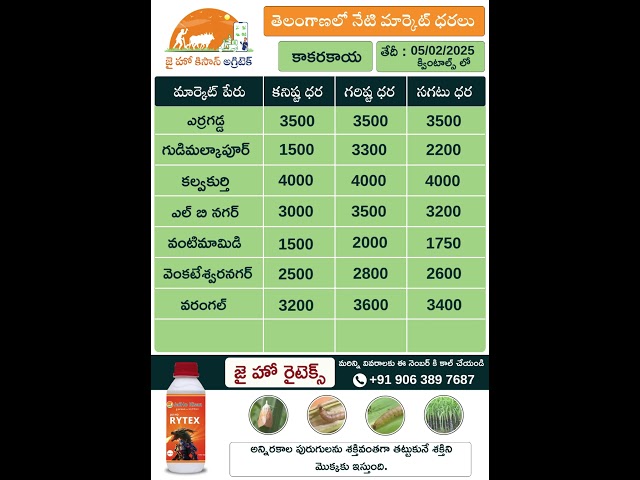 Today Market rates of Bendakaya & Kakarakaya in Telangana @JaiHoKisan​