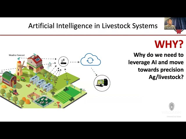 Artificial Intelligence in Livestock Systems