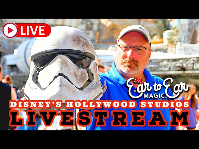 🔴 LIVE - Disney's Hollywood Studios Livestream - Disney World 01.23.25