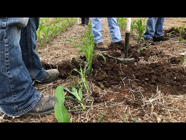 NRCS Soil Health Training