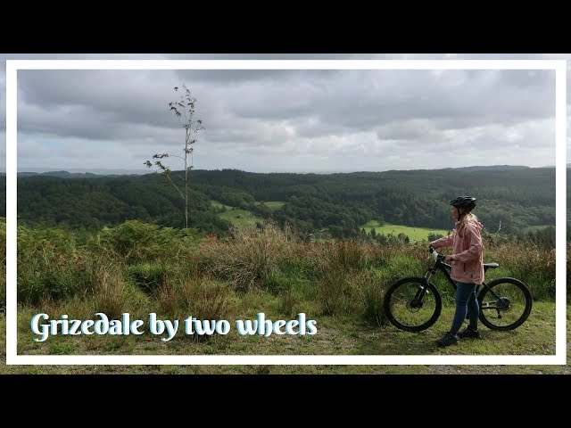 GRIZEDALE FOREST VLOG | Renting Bikes Around Grizedale Forest - IT WAS TOUGH!! Challenging Cycle