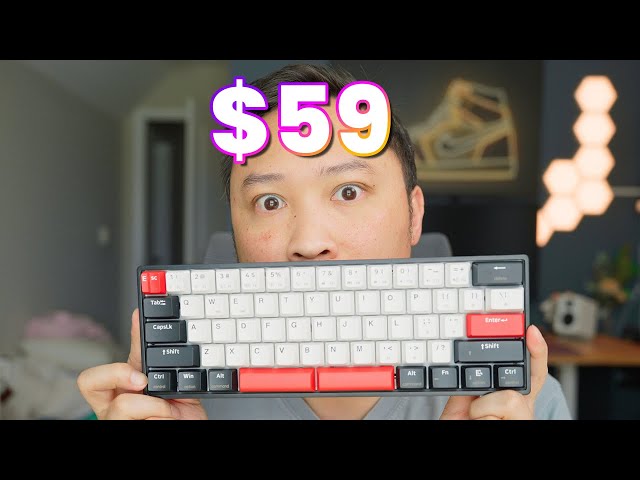 Skyloong GK61: Amazing value. Fully featured keyboard.