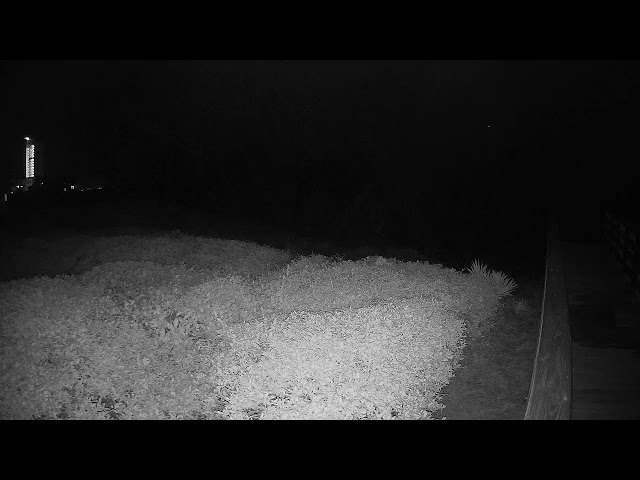 31 on 30a Beachcam