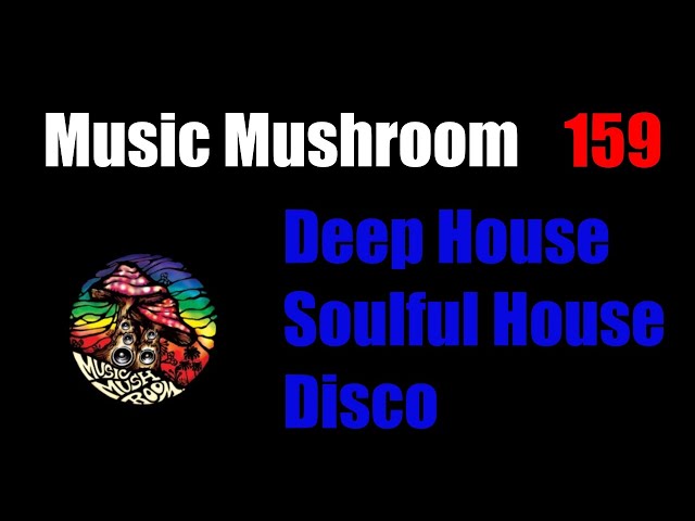 2022 Deep House Mix "Digital Grooves 01" -  Soulful House Mix w Traktor Pro 3 MusicMushroom #159