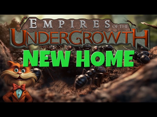 New Home (Level 1.1) | 🐜 | Empires of the Undergrowth (2024) #EotU #empiresoftheundergrowth