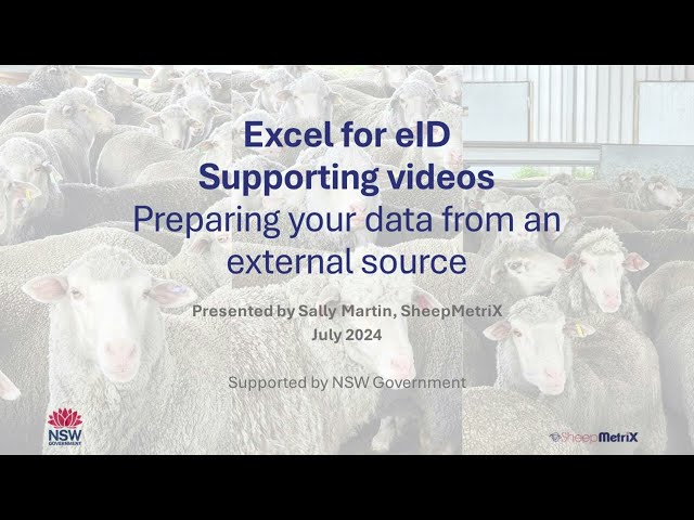 Excel for eID – Preparing data from an external source