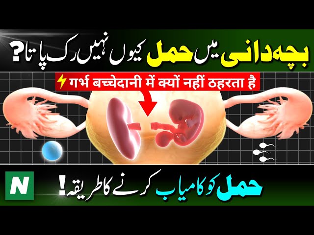 Pregnancy kaise hoti hai ? | implantation & Ovulation Tips | Pregnancy kyu nahi rukti hai