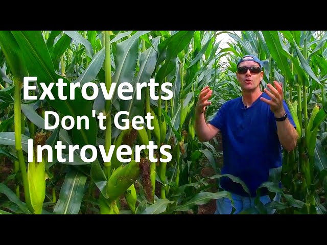 Being Alone - Introverts vs Extroverts | Extroverts Don't Understand Introverts | VR180