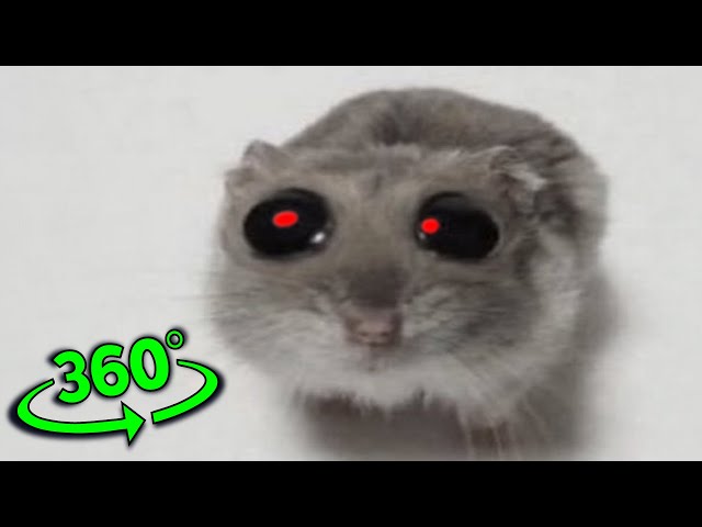 Sad Hamster Jumpscare 4k VR 360 experience