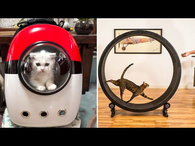 10 Coolest Cat Gadgets for CAT LOVERS!