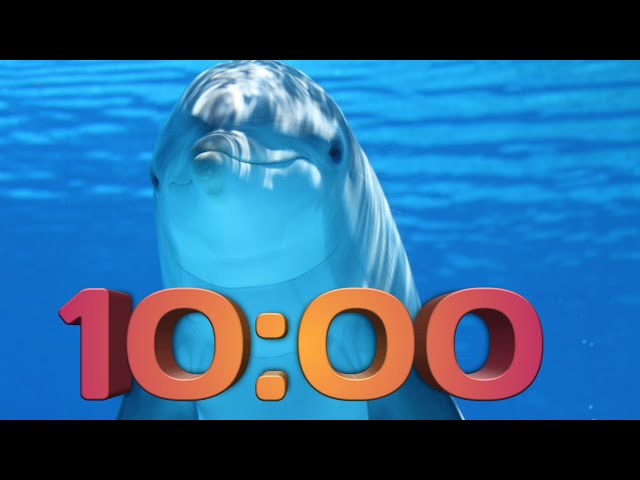 10 Minute Timer: Underwater Tour with Relaxing Ambient Music- HD