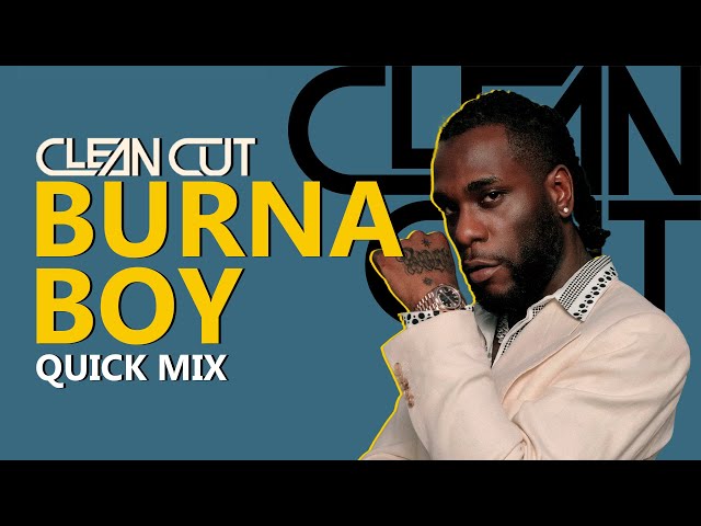 Burna Boy Quick Mix 2024