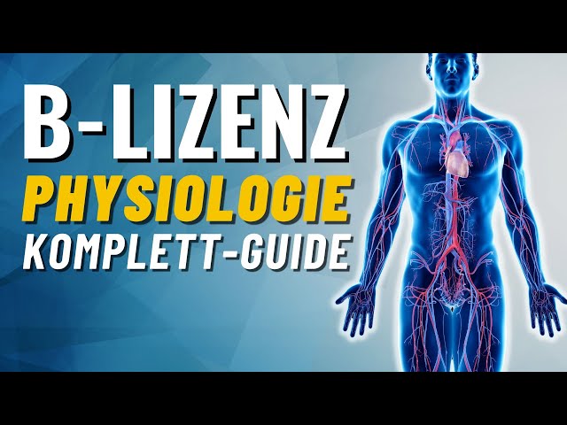 Physiologie Komplettguide! Herz-Kreislaufsystem & Lunge einfach erklärt (B-Lizenz Prüfungsstoff)